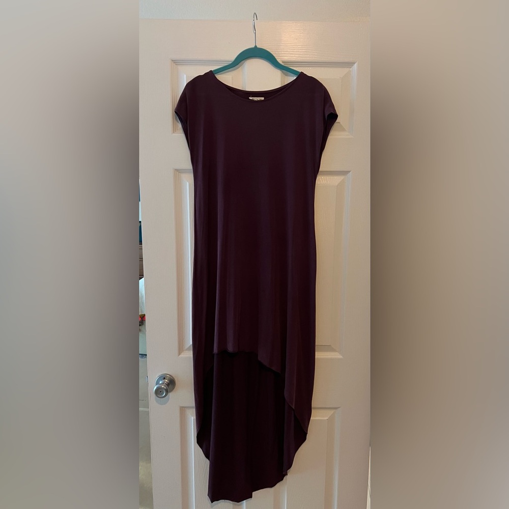 Silence & Noise- Purple High-Low Dress